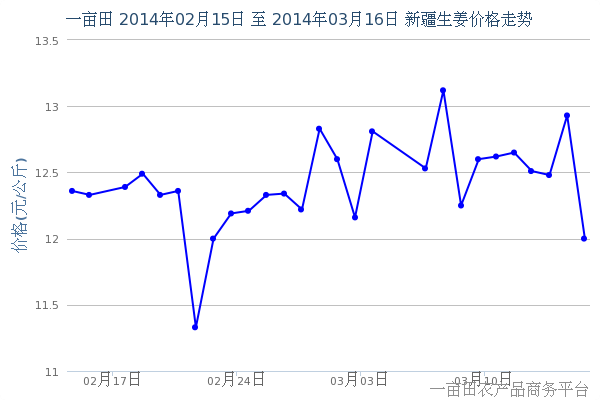 3月20日早间新疆最新生姜价格动态